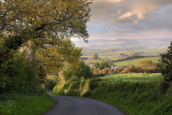 Cotswolds view